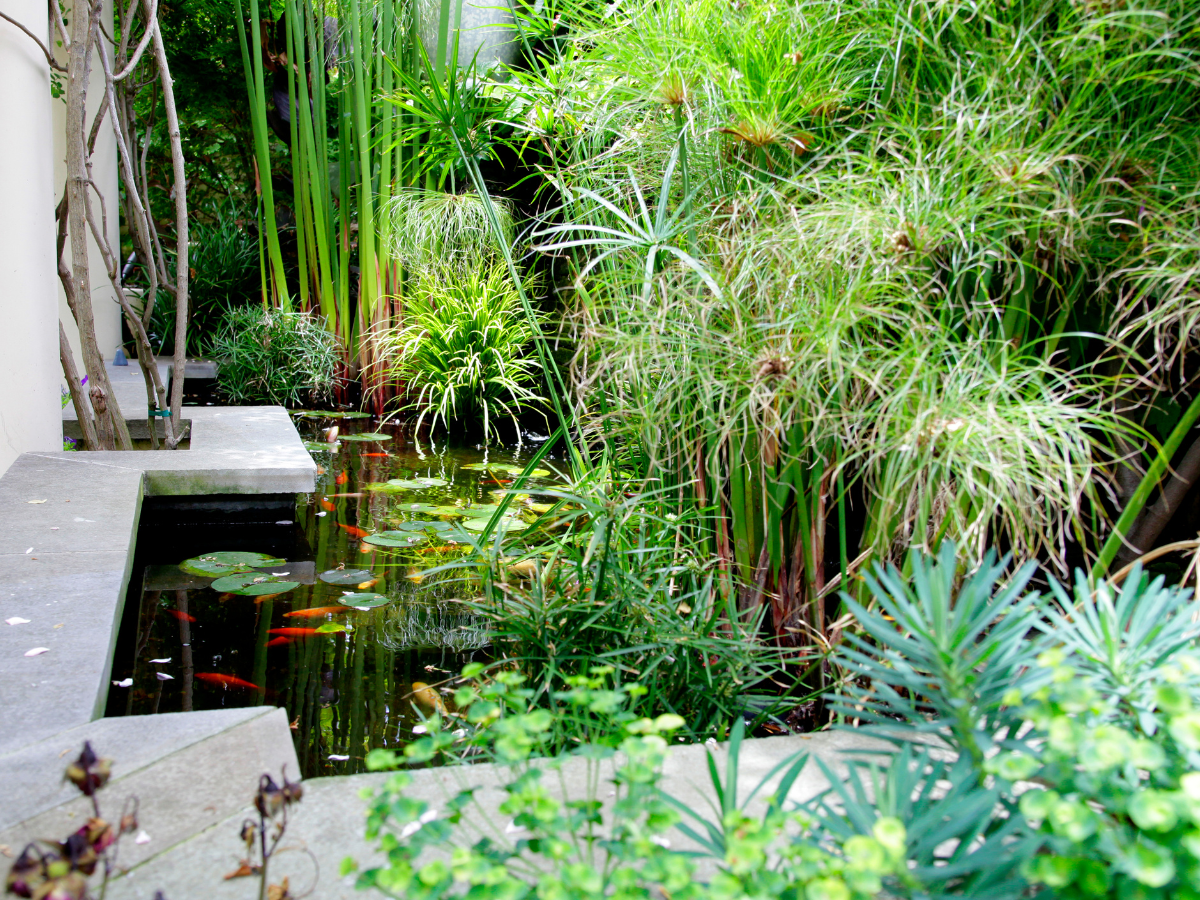 qtp landscaping qtp landscaping